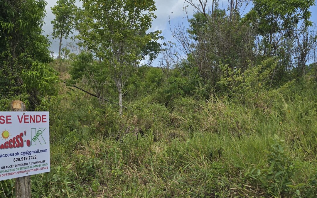 Terrain constructible à Las Terrenas : ce qu&rsquo;il faut vérifier